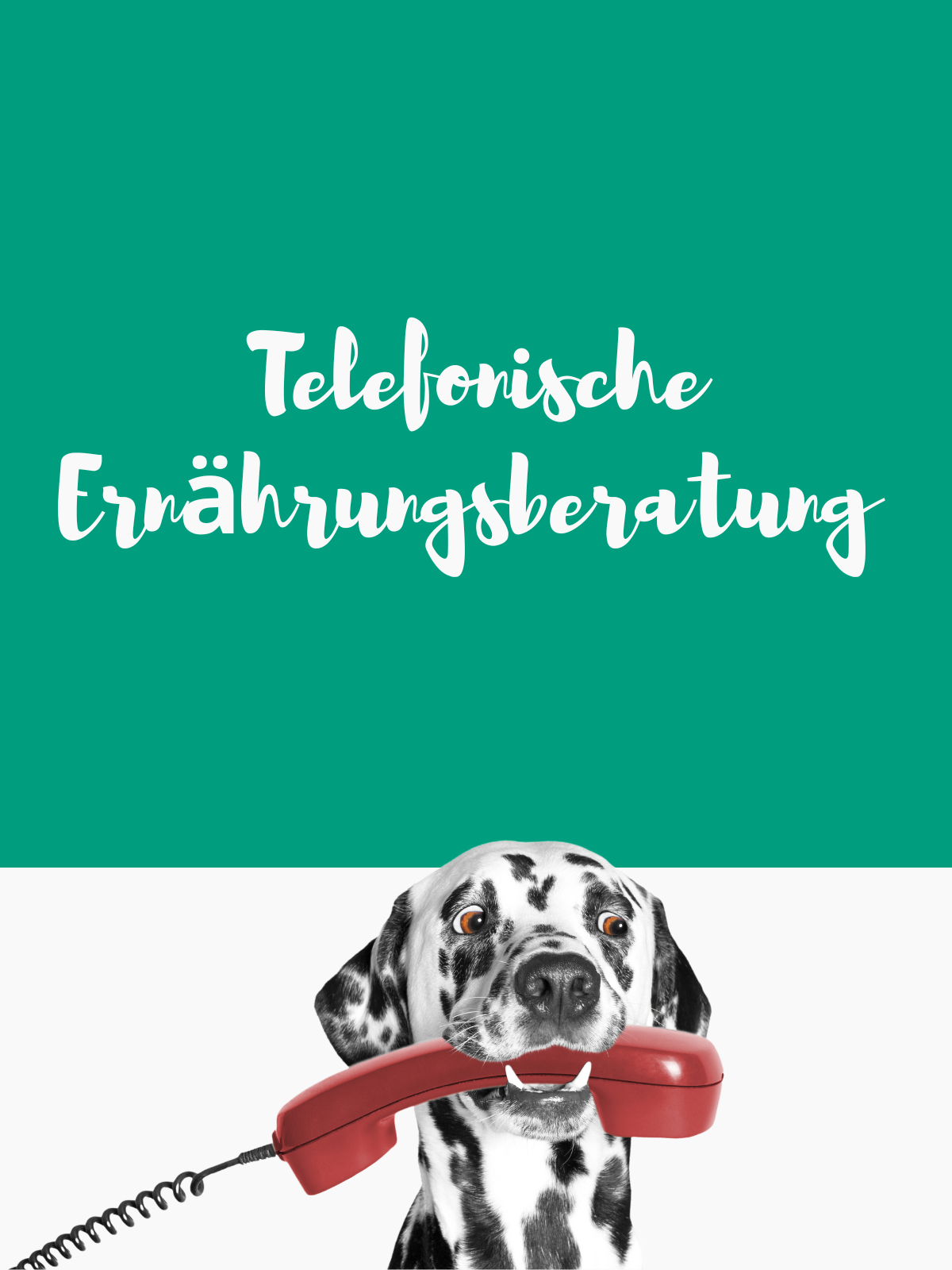 Telefonische Ernährungsberatung