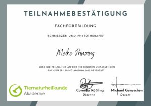 Teilnahmebestätigung Meike Prinzing