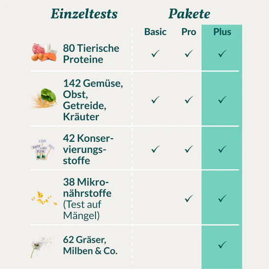 Allergietest_Hund