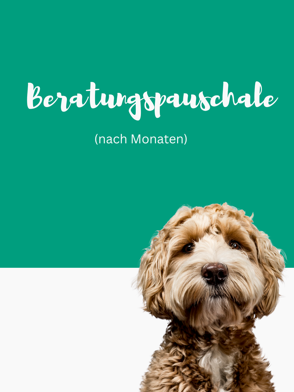 Beratungspauschale (nach Monaten)