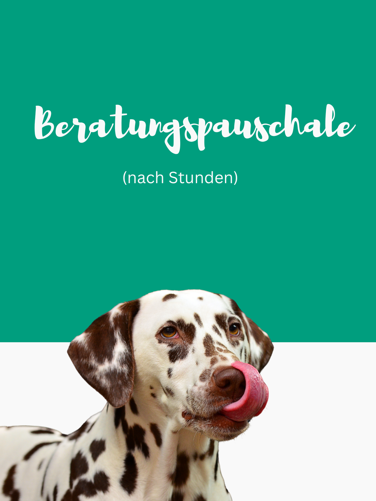 Beratungspauschale (nach Stunden)