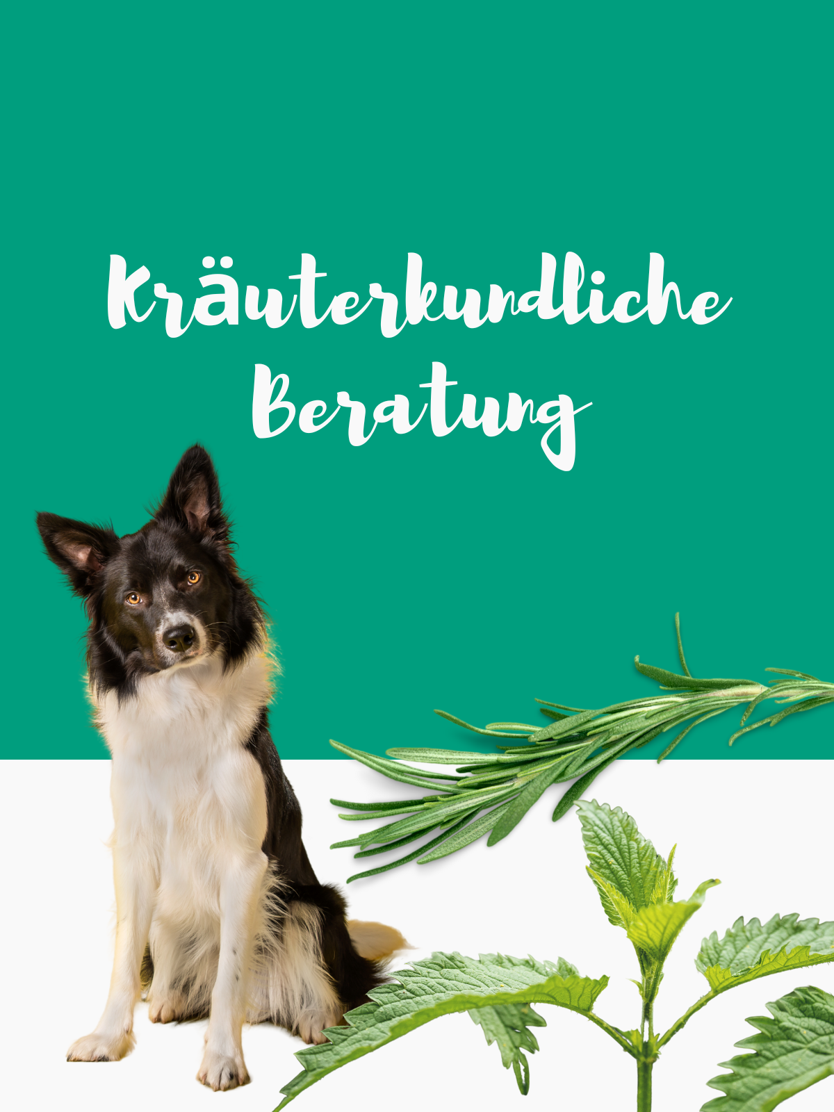 Kräuterkundliche Beratung