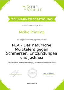 Teilnahmebestaetigung-PEA_THP Schule