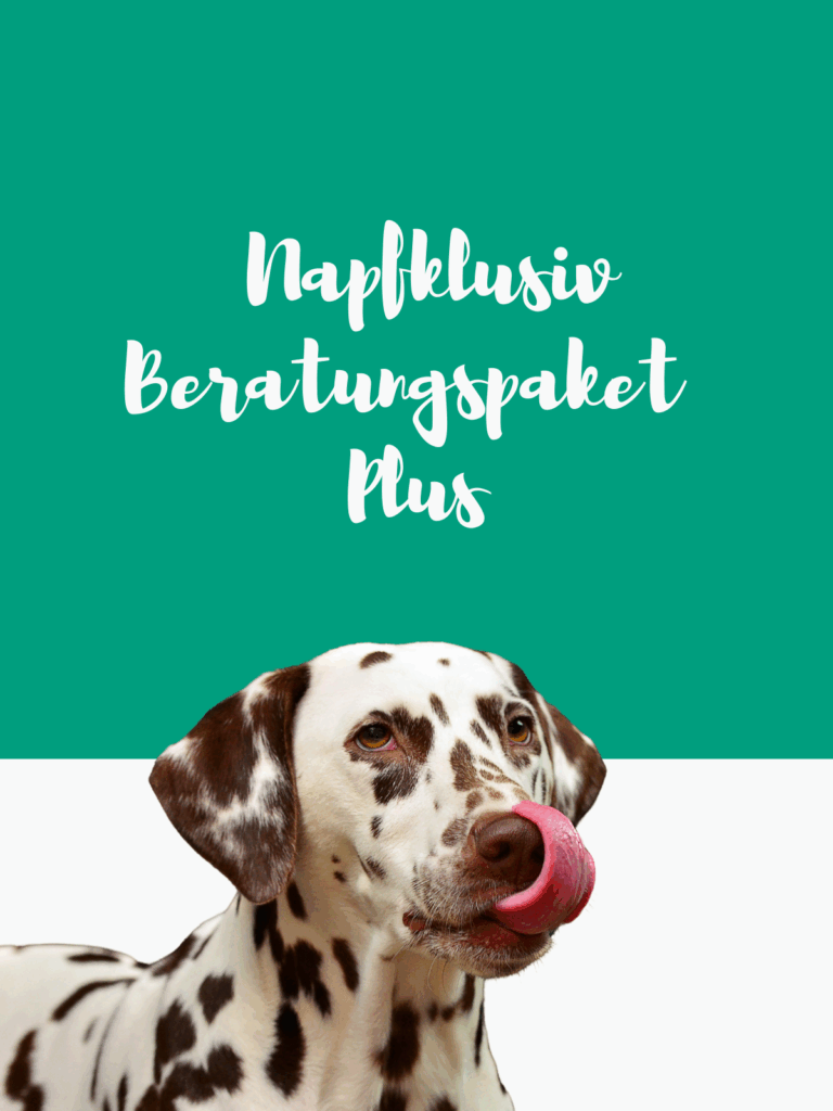 Bertungspaket Erweiterung