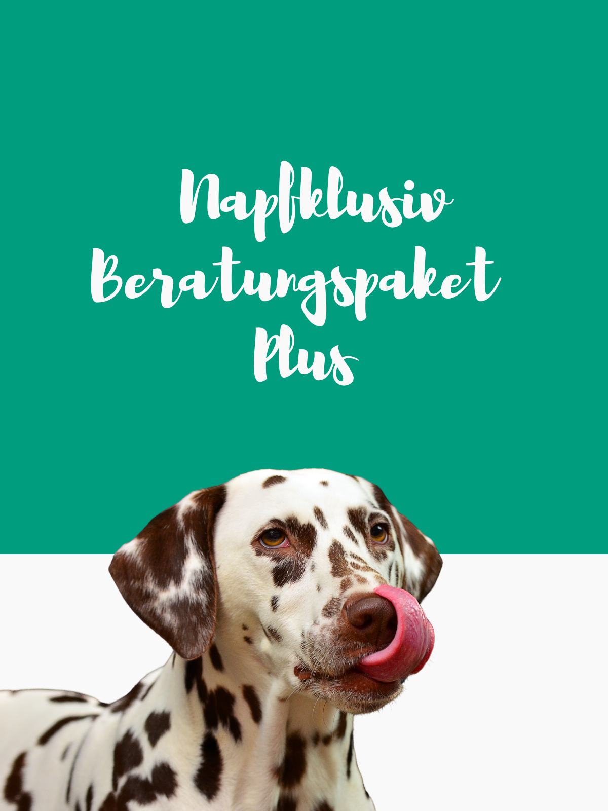 Bertungspaket Erweiterung