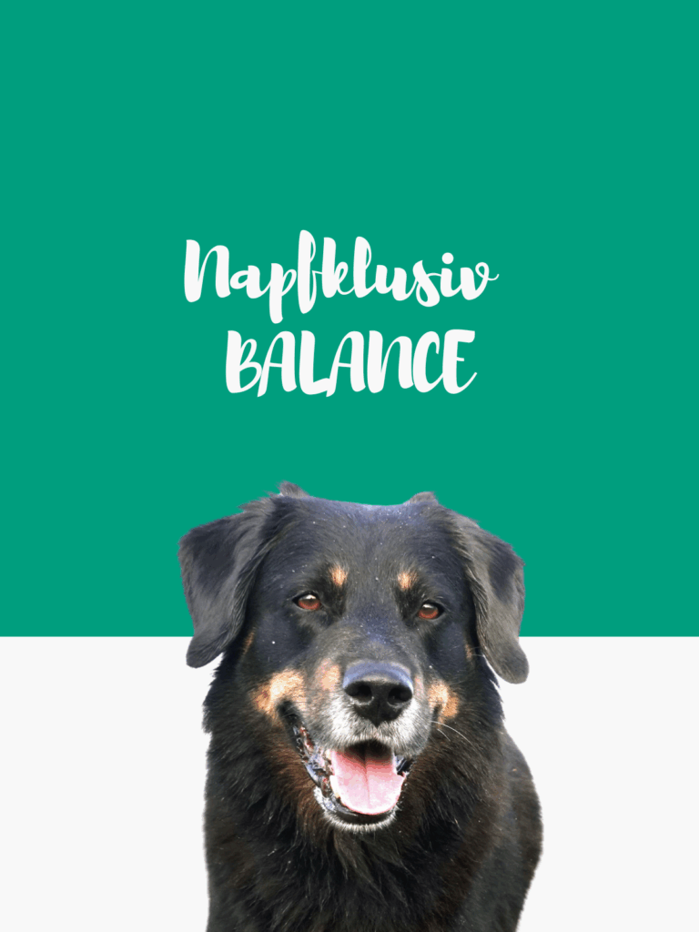 Napfklusiv BALANCE