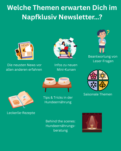 Newsletter